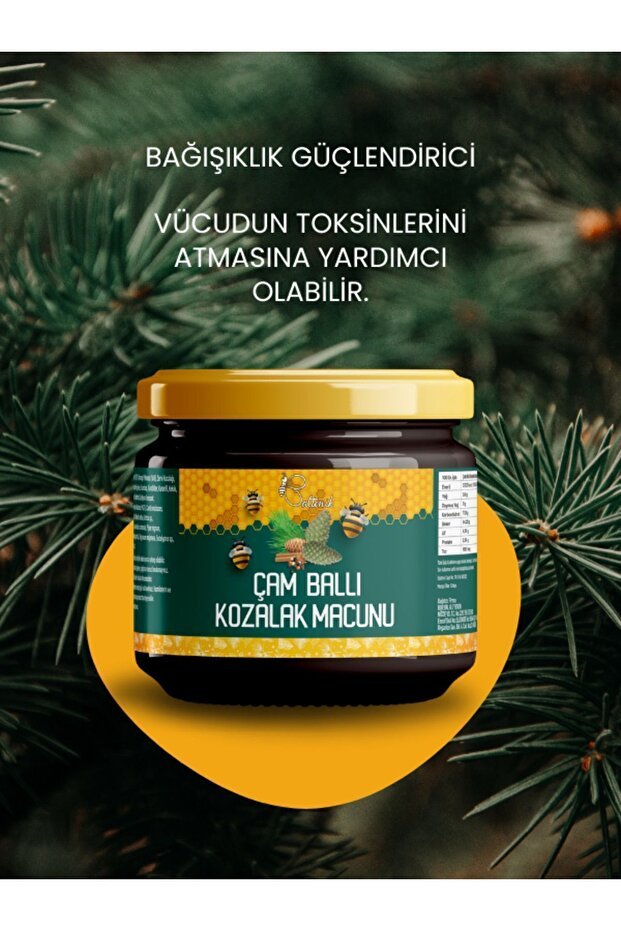Baltonik Professional Turkish Pine Cone Paste - Royal Jelly & Honey Blend - TryAladdin