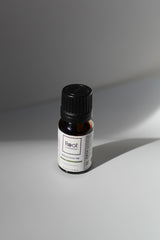 Pure Rosemary Essential Oil for Aromatherapy & Wellness