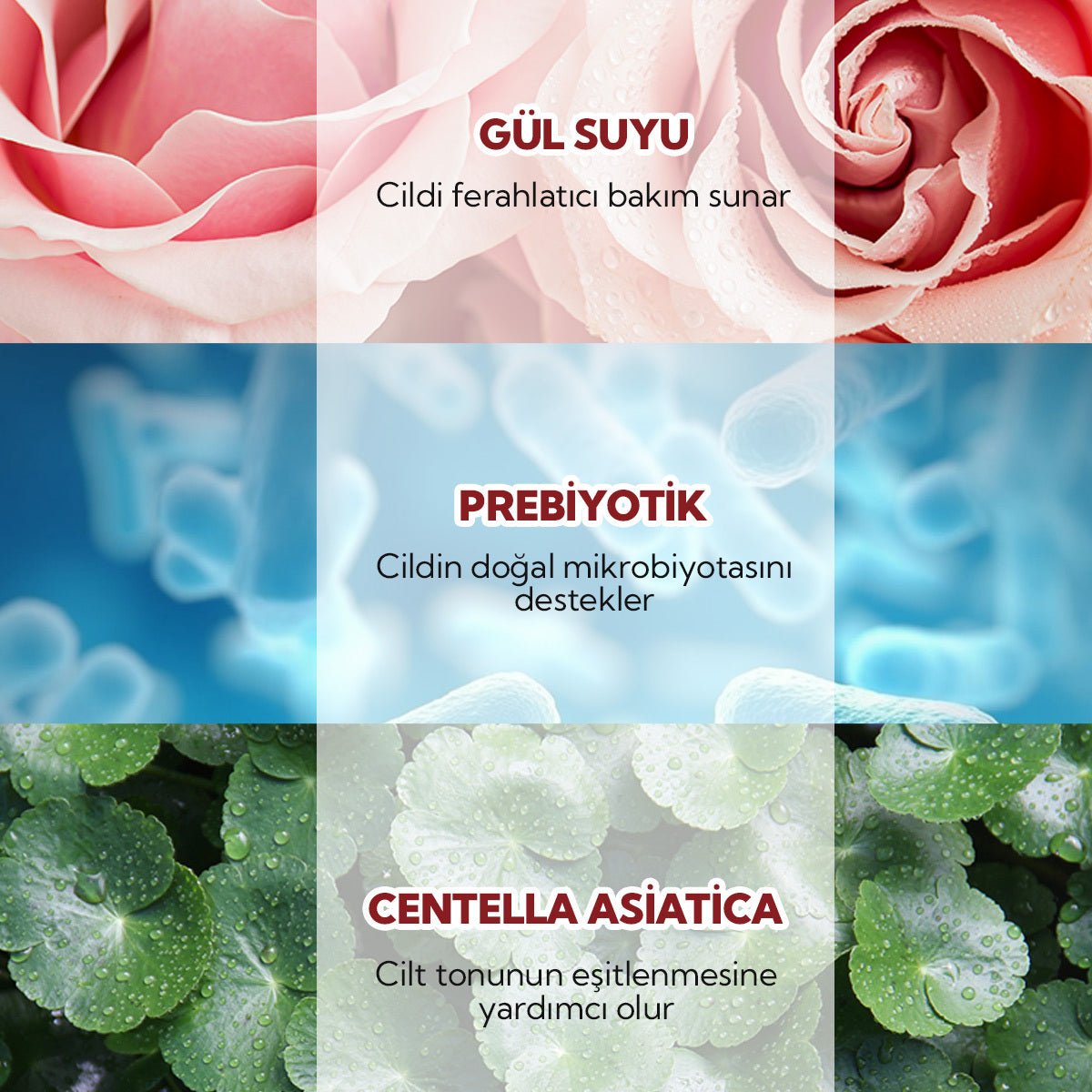 Beauty Elixir - Brightening & Hydrating with Niacinamide, Cica & Prebiotics - TryAladdin