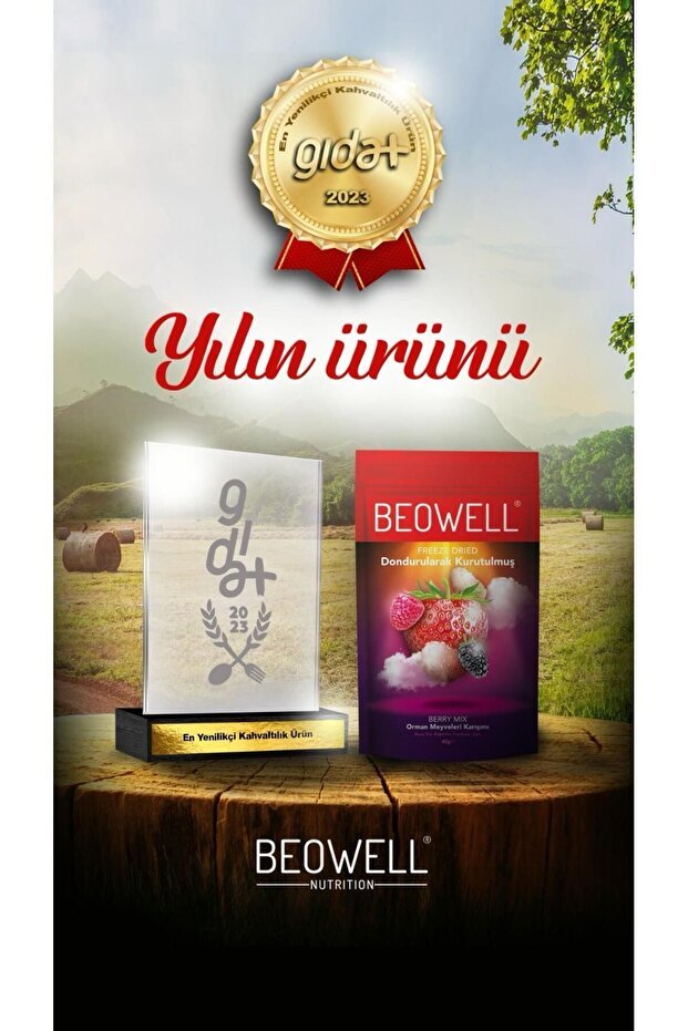 Beowell Premium Freeze Dried Berry Mix Fruit Chips - 40g - TryAladdin