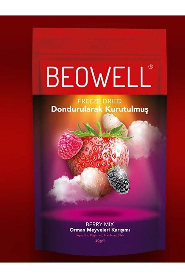 Beowell Premium Freeze Dried Berry Mix Fruit Chips - 40g - TryAladdin