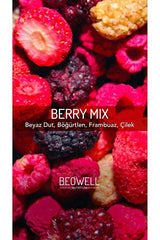 Beowell Premium Freeze Dried Berry Mix Fruit Chips - 40g - TryAladdin