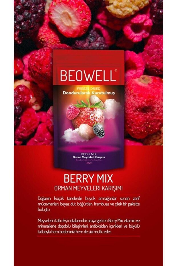 Beowell Premium Freeze Dried Berry Mix Fruit Chips - 40g - TryAladdin