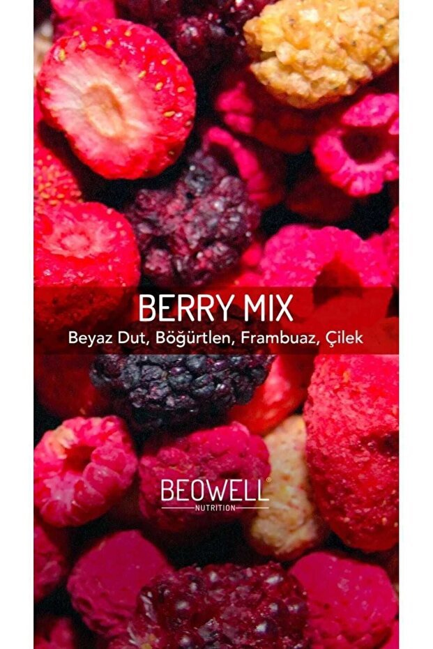 Beowell Premium Freeze Dried Berry Mix Fruit Chips - Wholesale