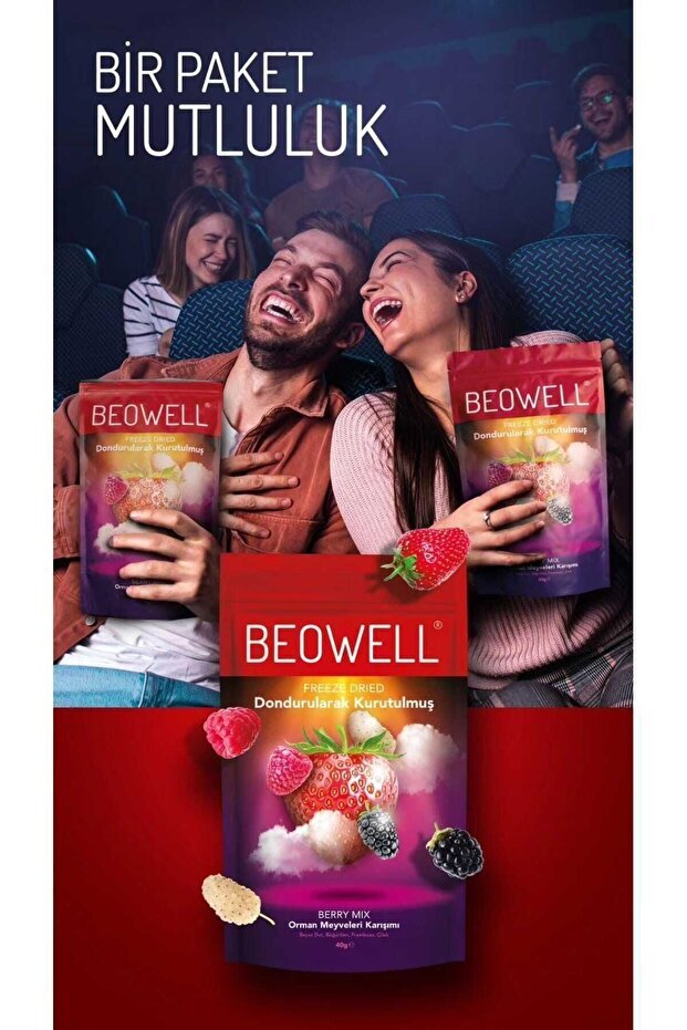 Beowell Premium Freeze Dried Berry Mix Fruit Chips - 40g - TryAladdin