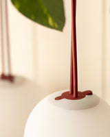 Plastic Portable Lamp - Modern USB Rechargeable Design