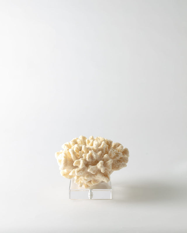 Resin Floral Figurine - Elegant Cream Botanical Accent