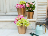 Elegant Gilded Decorative Plant Pot - 1.5 Liter Indoor Planter
