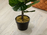 Joncher Faux Potted Plant - Realistic Home Decor Greenery