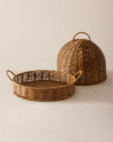 Plastic Storage Organizer - Versatile Natural Design