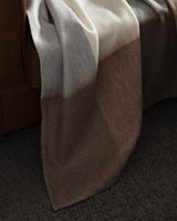 Camel TV Blanket - Ultra Soft Plush Throw for Sofa & Couch - TryAladdin