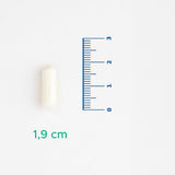 Ceramide - Advanced Skin Health Capsules - TryAladdin