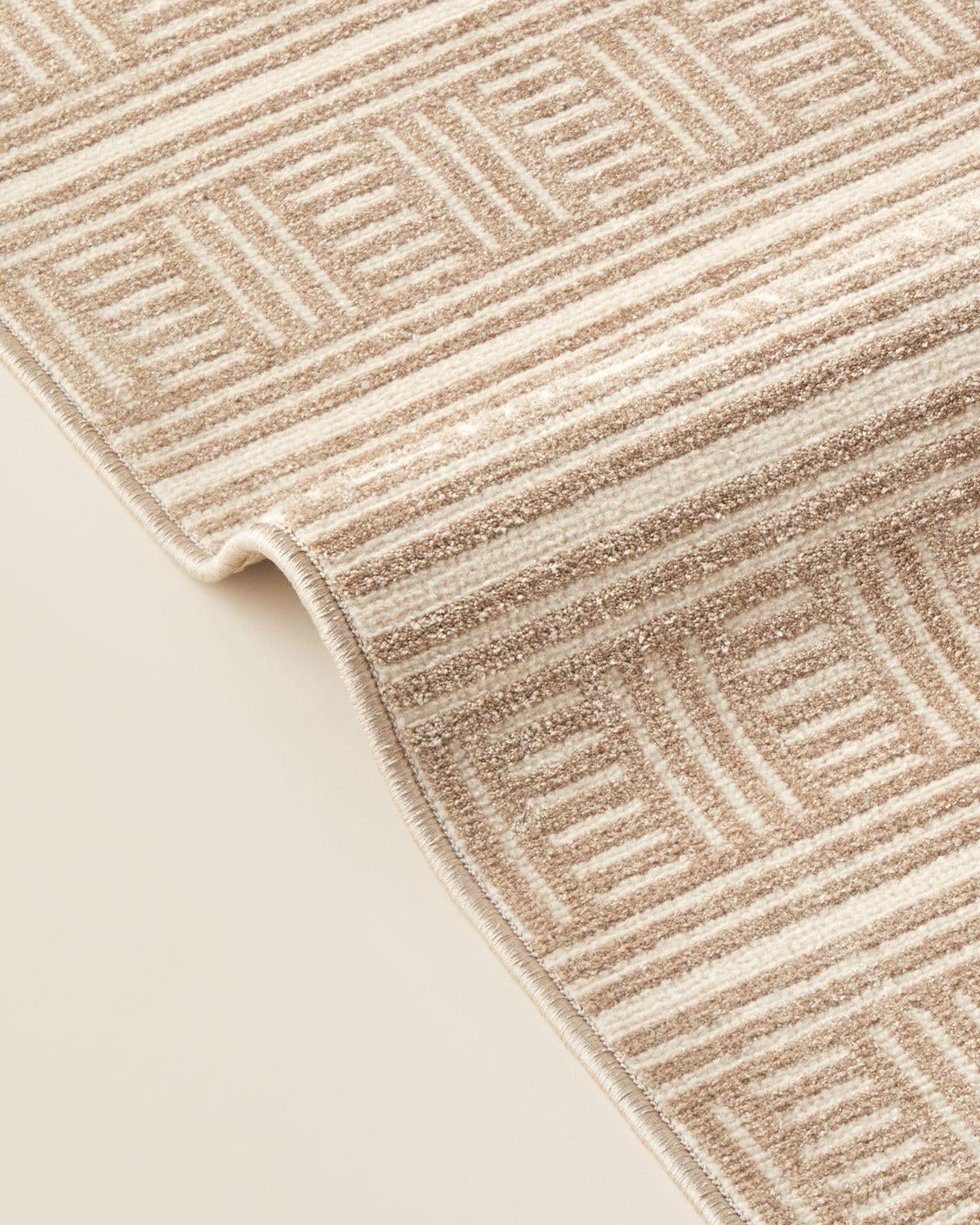 Professional Grade Beige Chera Pattern Area Rug