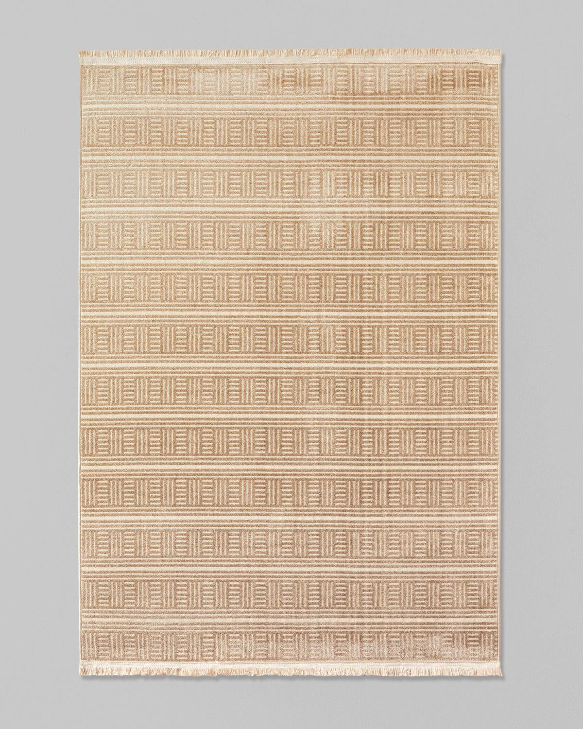 Professional Grade Beige Chera Pattern Area Rug