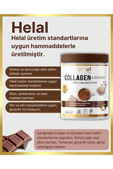 & Chocolate Powder - Real Chocolate, 360g - TryAladdin
