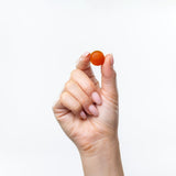 Choline & Ginkgo - Focus Support Chewable Gummies - TryAladdin
