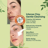 Clay Mask for Face Skin - Pore Tightening, Anti - Spot & Moisturizing - TryAladdin