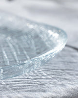 Clear Glass Oval Serving Plate - Modern Minimalist Design - TryAladdin