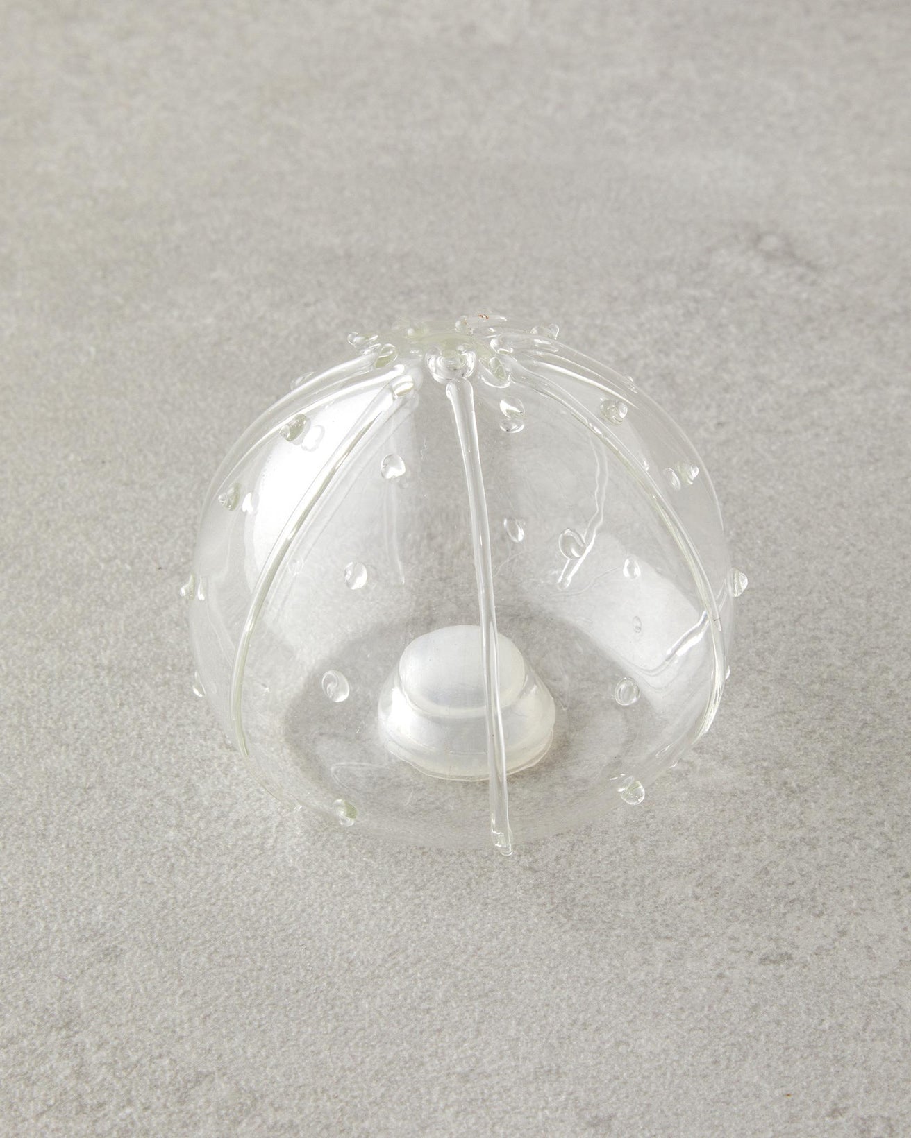 Professional Borosilicate Acacia Salt Pepper Shaker Set   Clear 2 Piece