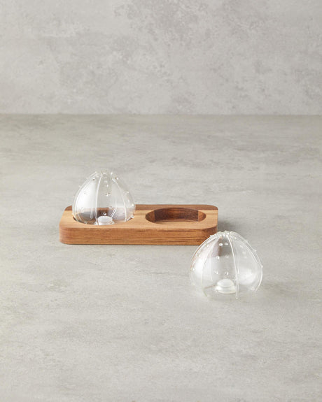 Professional Borosilicate Acacia Salt Pepper Shaker Set   Clear 2 Piece