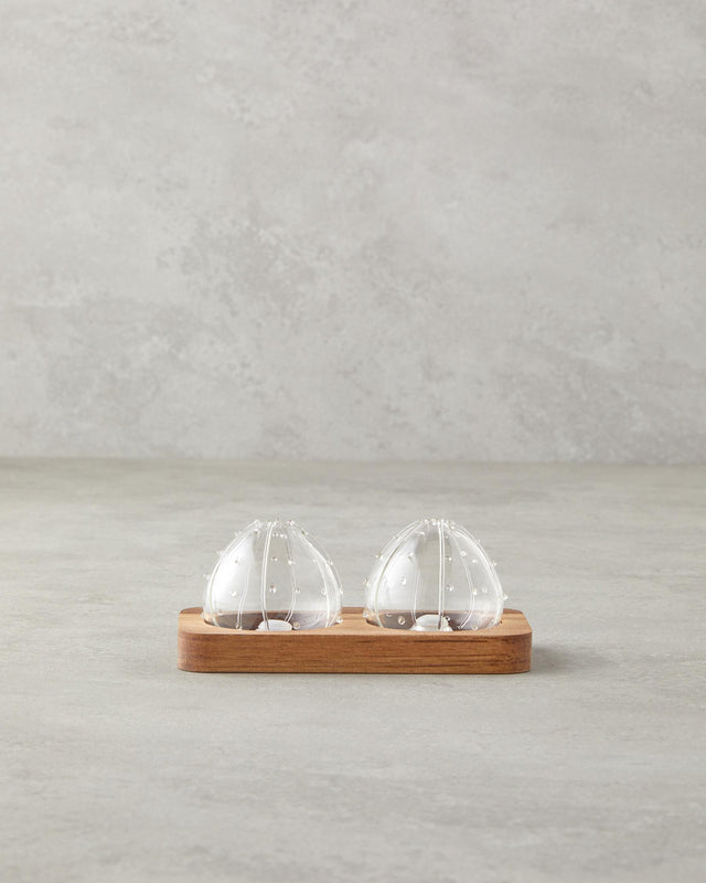 Professional Borosilicate Acacia Salt Pepper Shaker Set   Clear 2 Piece