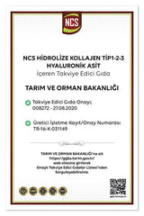 Collagen Type 1 - 2 - 3 with Glutathione & Hyaluronic Acid - 90 Tablets - TryAladdin