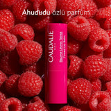 Colored Lip Balm - Hydrating & Nourishing with Organic Shea & Grape Polyphenols - TryAladdin