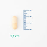 Comprehensive B Vitamin Complex - Energy & Nervous System Support - TryAladdin