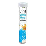Comprehensive Multivitamin & Mineral - Daily Wellness Effervescent Tablets - TryAladdin