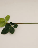Premium White Fabric Single Stem Artificial Flower Wholesale