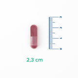 Cranberry & Vitamin C - Immune & Antioxidant Support Capsules - TryAladdin