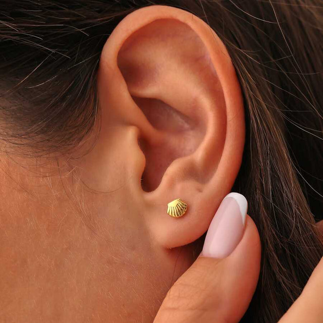 925 Sterling Silver Oyster Stud Earrings - Yellow Gold Plated