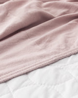 Twin 100% Cotton Jersey Fitted Sheet