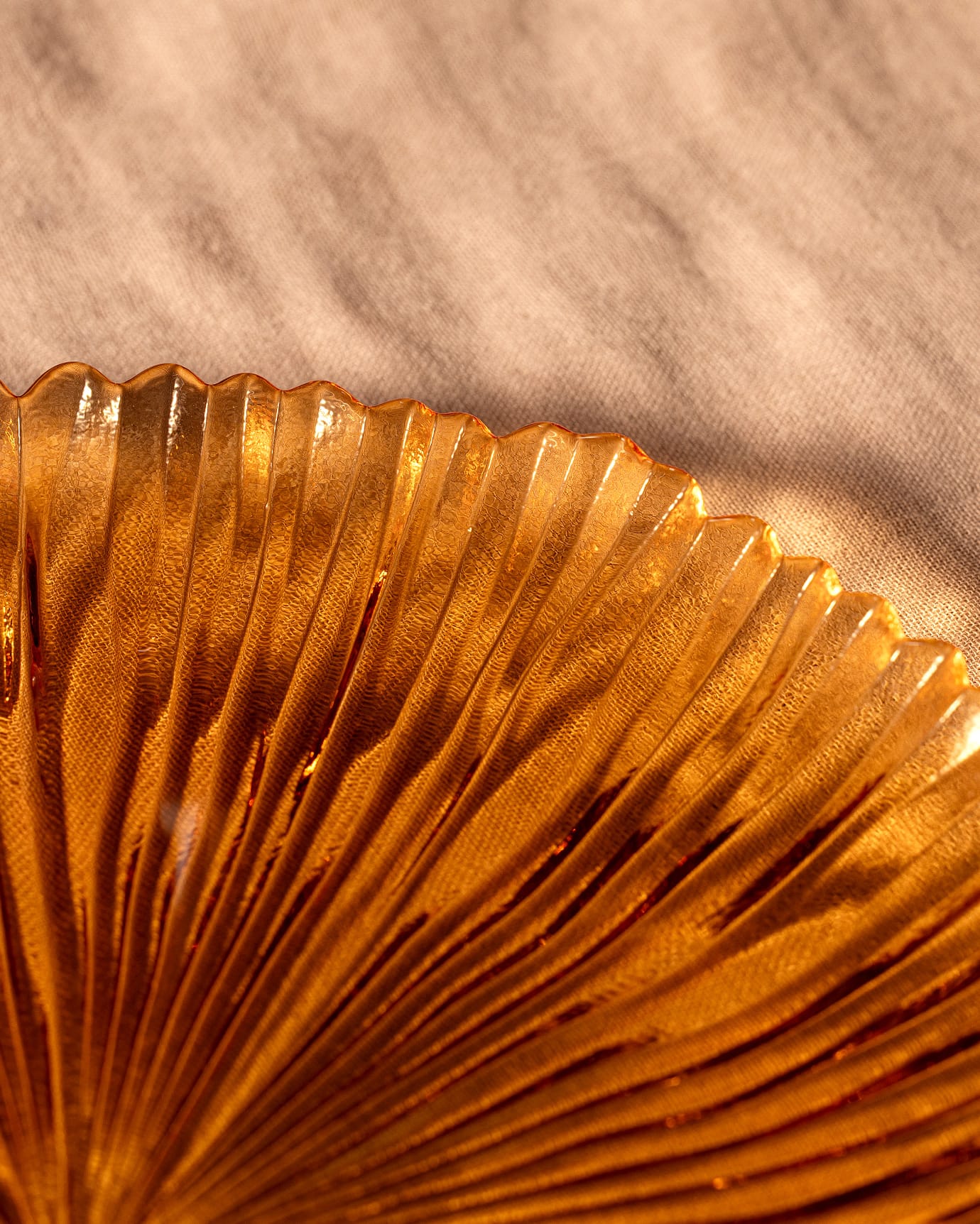 Glass Pasta Plate - Contemporary Soleil Inspired Design