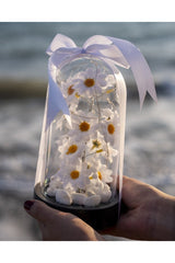 Decorative LED Lighted Daisy Cloche Jar - Special Gift for Loved Ones - TryAladdin