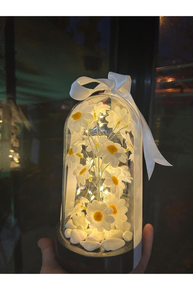 BYSHOPPING LED 雏菊罩| 装饰灯礼品– Aladdin