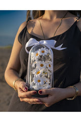 Decorative LED Lighted Daisy Cloche Jar - Special Gift for Loved Ones - TryAladdin