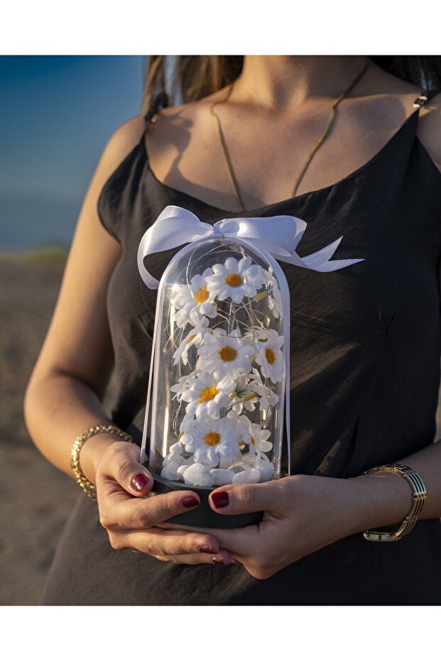 Decorative LED Lighted Daisy Cloche Jar - Special Gift for Loved Ones - TryAladdin