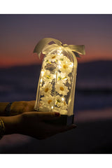 Decorative LED Lighted Daisy Cloche Jar - Special Gift for Loved Ones - TryAladdin