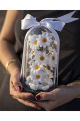 Decorative LED Lighted Daisy Cloche Jar - Special Gift for Loved Ones - TryAladdin