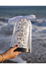Decorative LED Lighted Daisy Cloche Jar - Special Gift for Loved Ones - TryAladdin