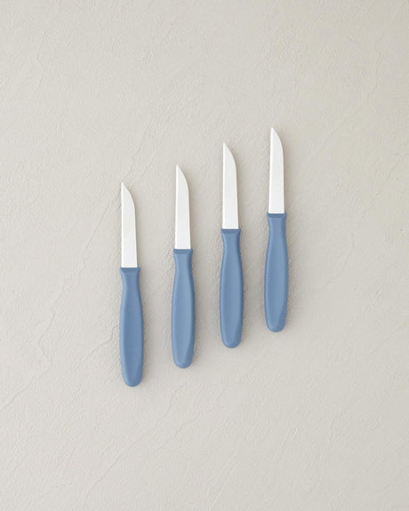 Professional Grade Stainless Steel Fruit Knife Set   4 Piece   Blue Handle