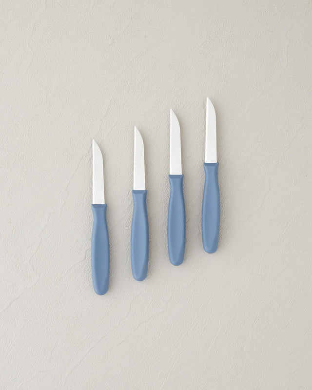 Professional Grade Stainless Steel Fruit Knife Set   4 Piece   Blue Handle