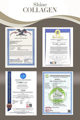 Double Hydrolyzed Collagen Powder - 1000g (2x500g) Set - TryAladdin