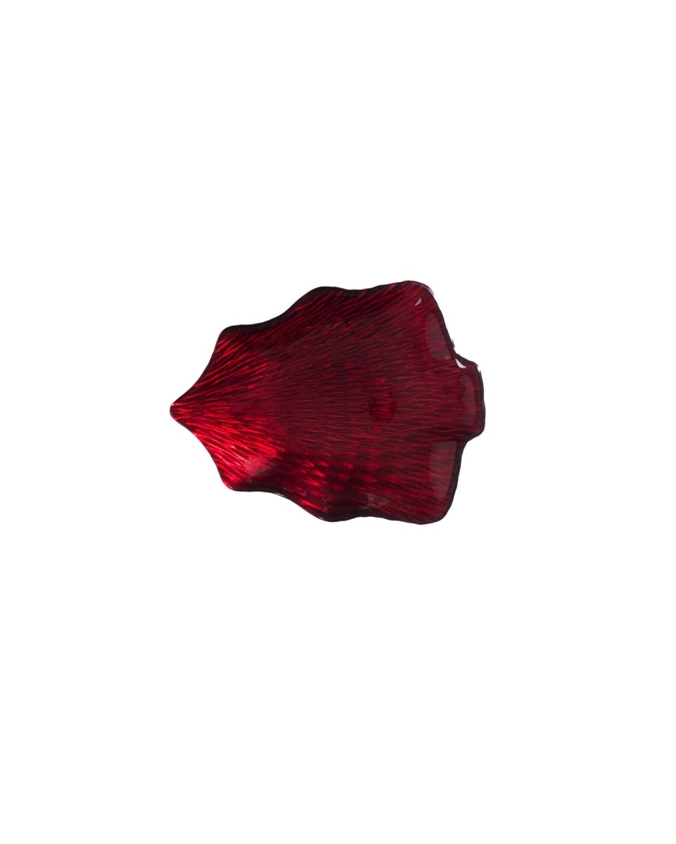Durable Glass Snack Plate - Modern Elegance for Appetizers - TryAladdin