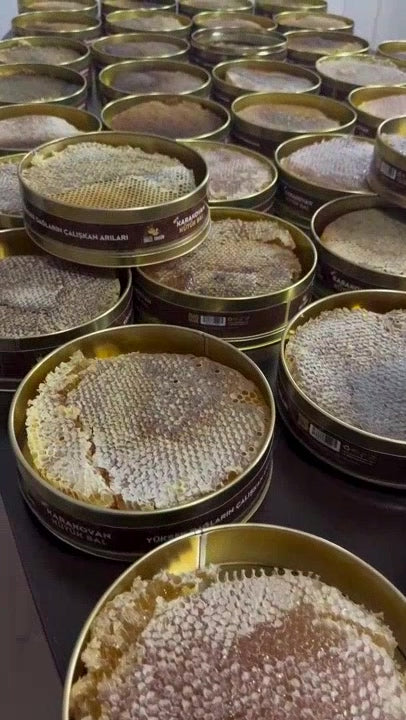 Balci Tahsin Premium Håndlavet Karakovan Sort Bikube Honning - 1 Kg