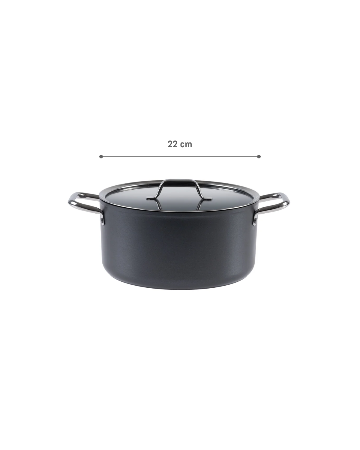 Professional Titanium Nonstick Deep Cooking Pot, 22 cm, Anthracite