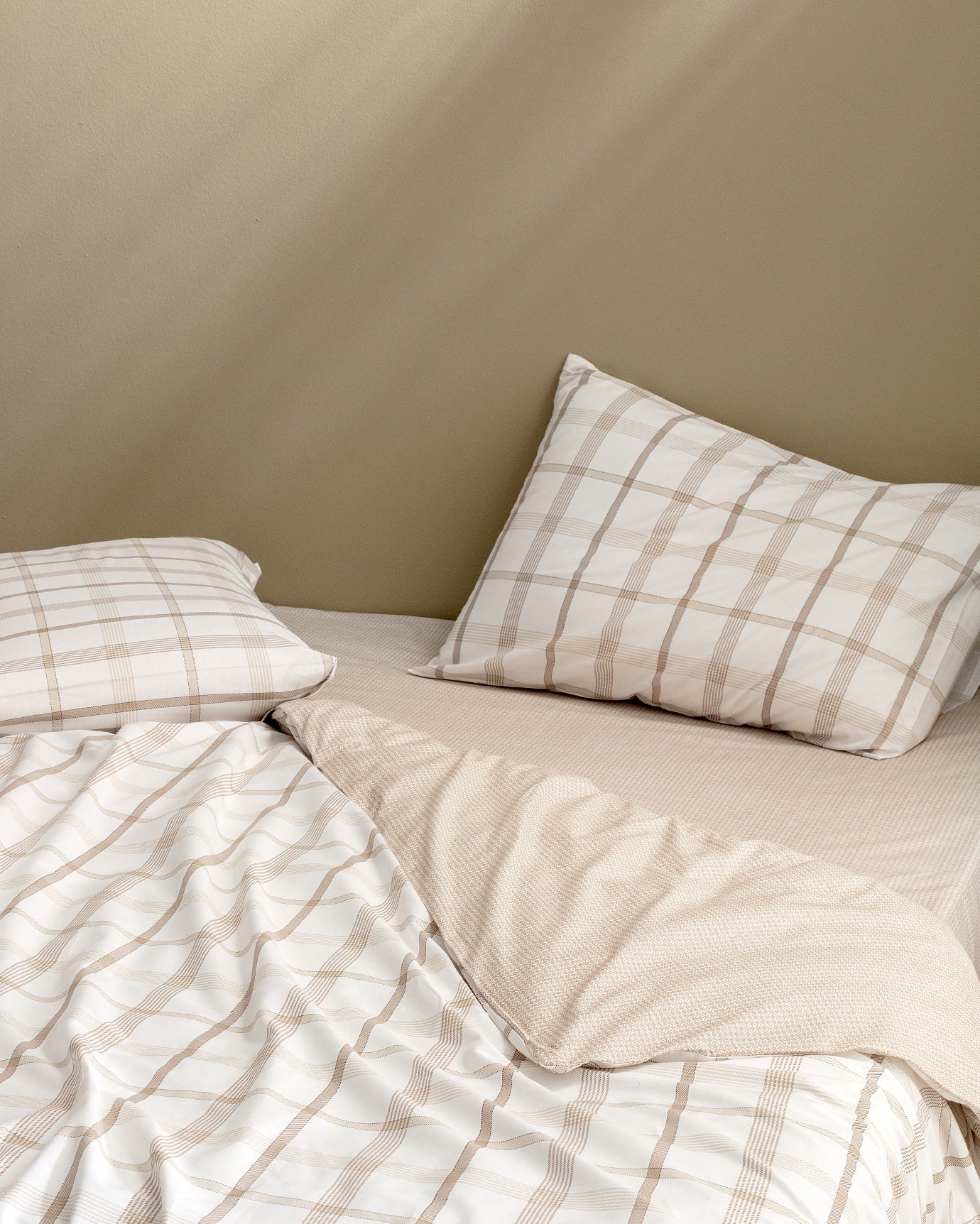 Aluin Single Ranforce Cotton Printed Bedding Set
