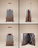 Medium Silver Hardside Travel Suitcase Luggage