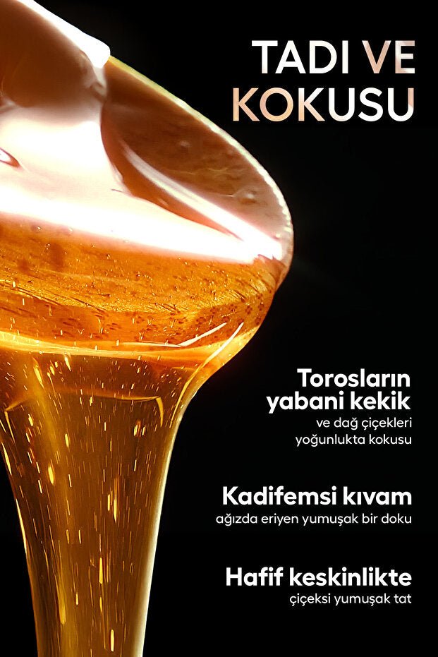 Egricayir Organic Polyfloral Honey TA16 - 300g - TryAladdin